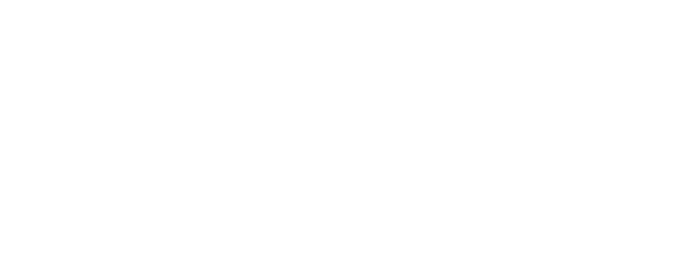 BLoONA